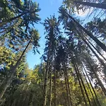 Forsthaus Garz Maison d'hôtes Garz (Rugen)