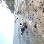 Forsthaus Garz Pensjonat 4*