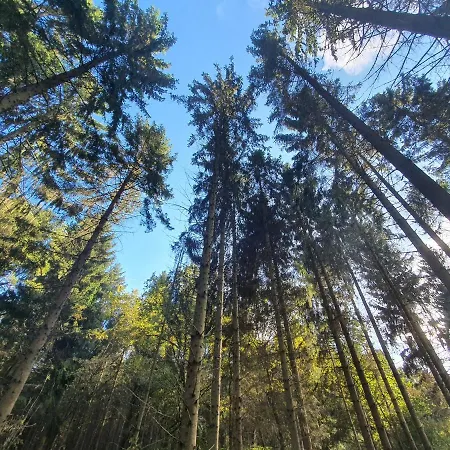 Forsthaus Garz Gæstehus Garz (Rugen)