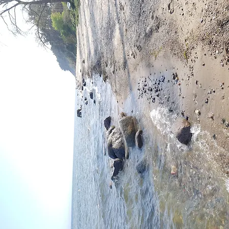 Forsthaus Garz بيت ضيافة 4*