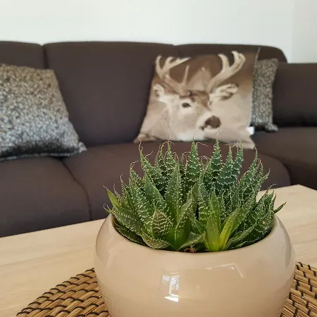 Konukevi Forsthaus Garz 4*